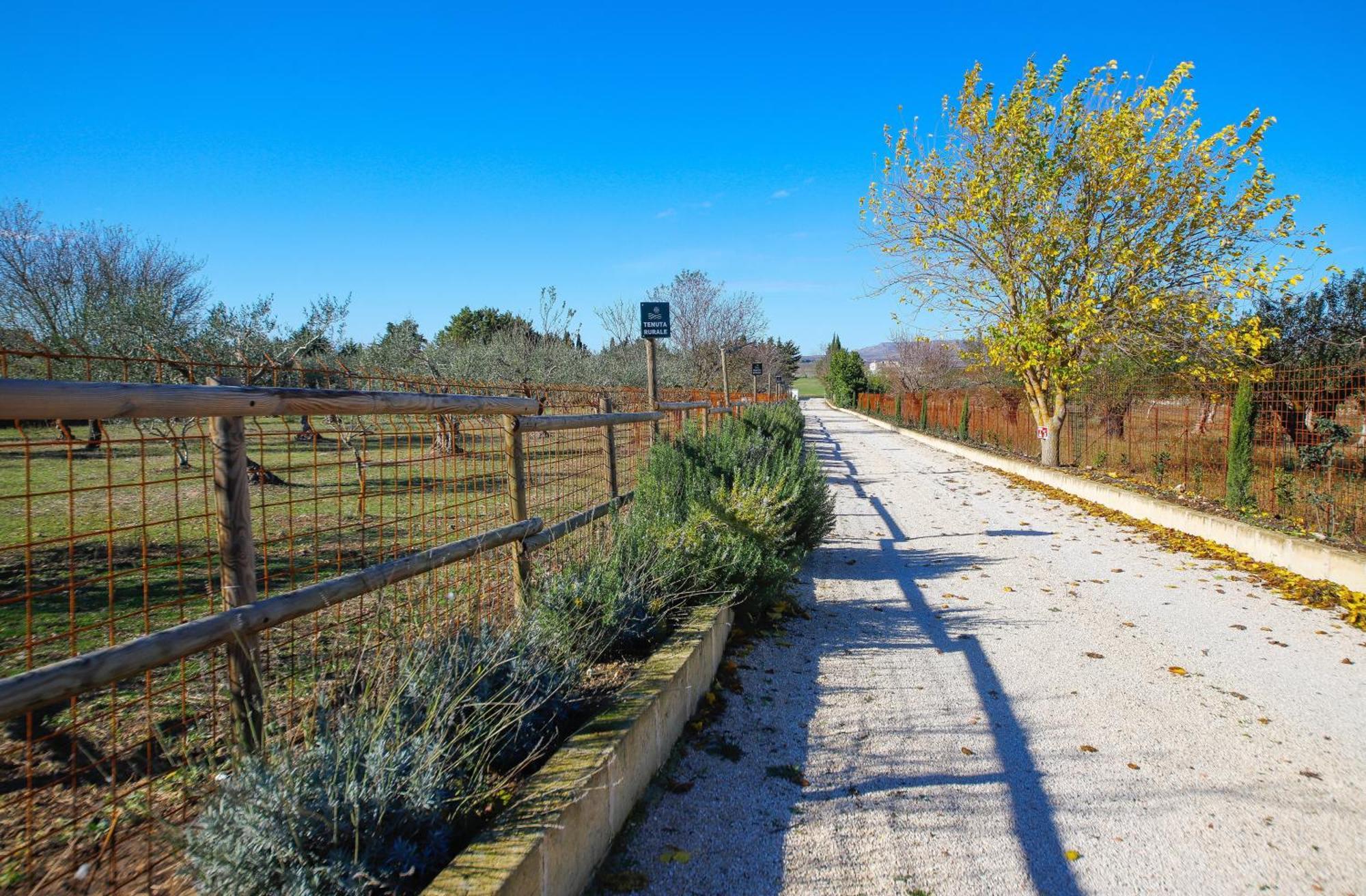 Tenuta Rurale Luxury&Nature Gravina in Puglia Luaran gambar